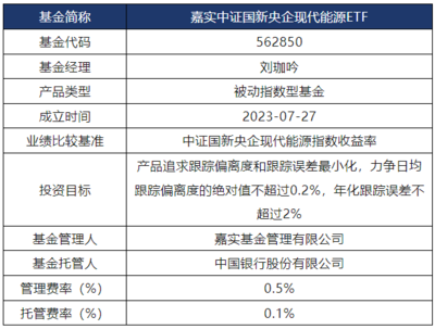 央企能源领航低碳经济,构建绿能安全网